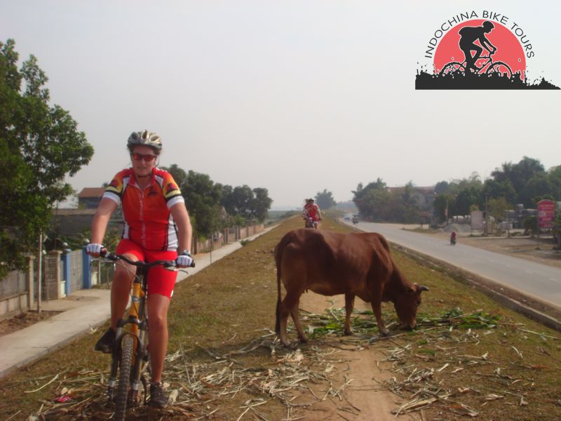 Zoo Safari Cycling Tour – 2 days