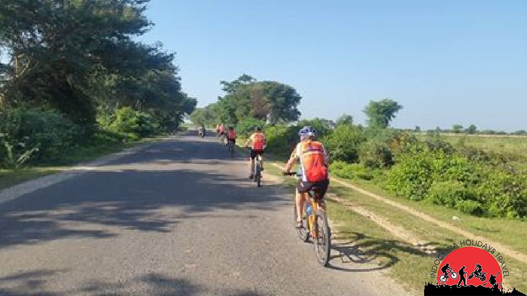 Action Mekong Delta Cycling Tour – 5 Days