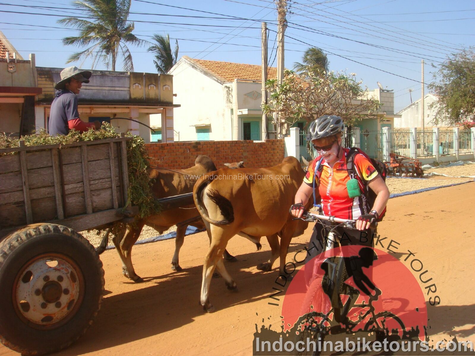 8 days Hoian Biking To Ho Chi Minh City