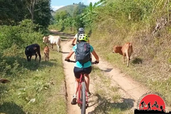 10 Days Nonthern Thailand Cycling Tour
