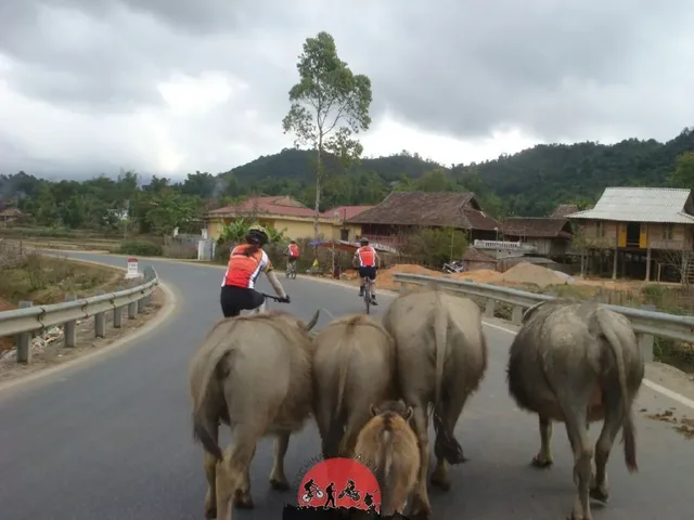 11 days Vietnam ( Dien Bien Phu ) Border Bike to Vientaine