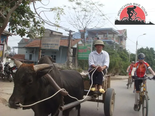 3 days Golden Triangle Explorer Cycle Tour